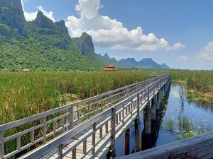Articles About the Hua Hin and Khao Tao Area Sam Roi Yot