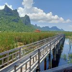 Sam Roi Yot National Park
Buang Bua (Lotus Marsh)