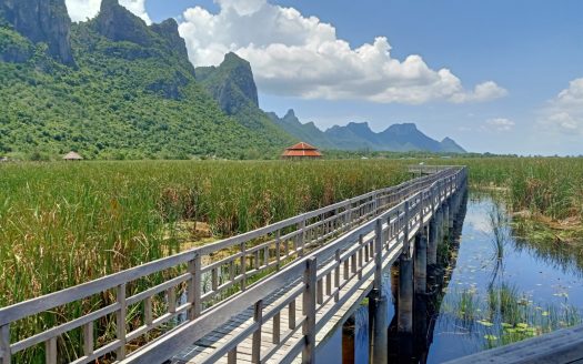 Sam Roi Yot National Park Buang Bua (Lotus Marsh)